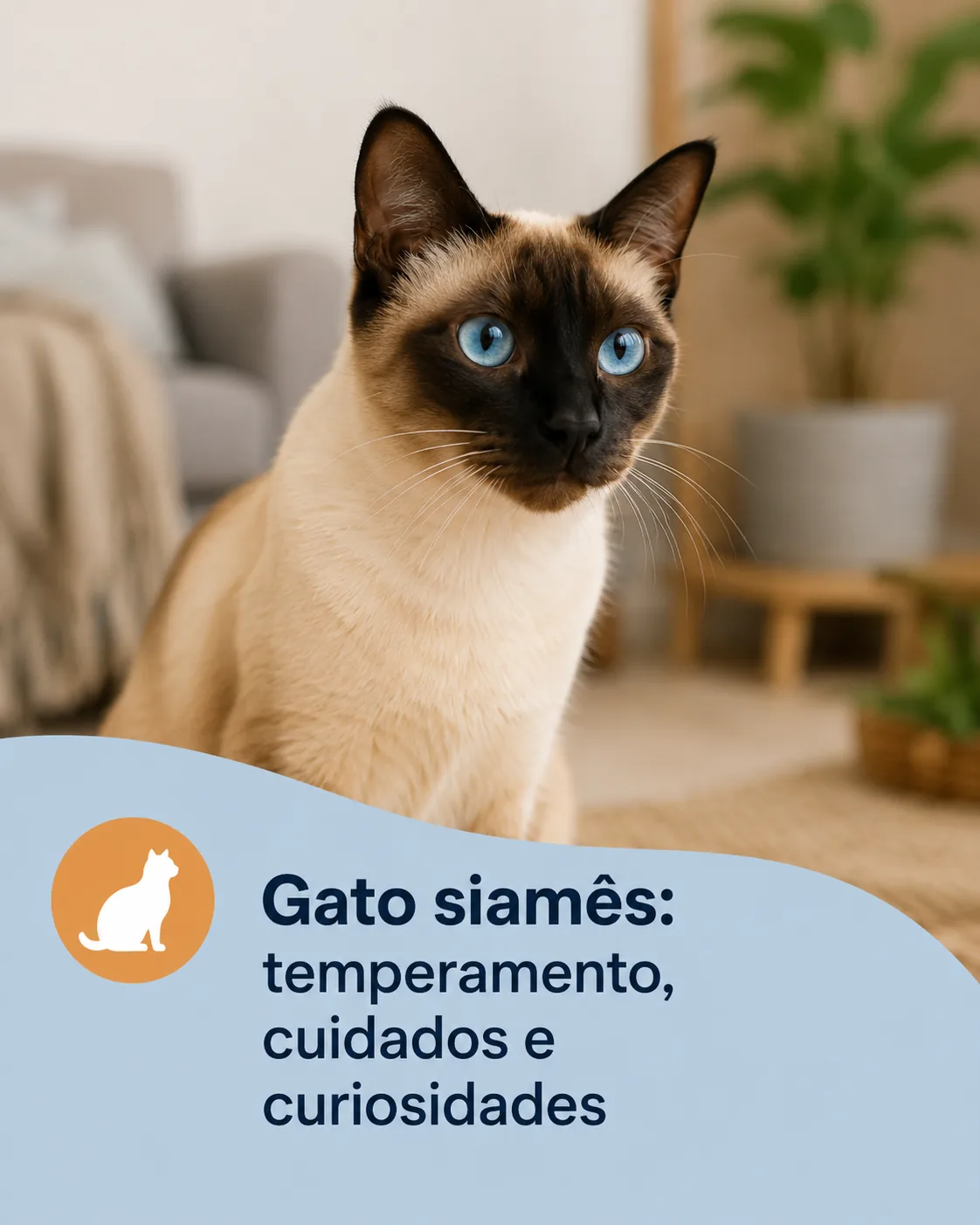 Gato siamês com olhos azuis característicos em ambiente doméstico